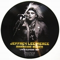 JEFFREY LEE PIERCE - Anarchic Blues