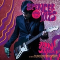 JON SPENCER - Sings The Hits