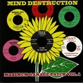 VARIOUS ARTISTS - Mind Destruction - Maximum Garage Psych Vol. 1