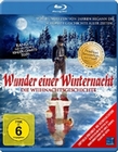 Wunder einer Winternacht - Die Weihnachtsge...