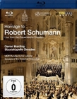 Homage to Robert Schumann