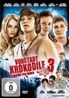 Vorstadtkrokodile 3