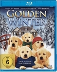 Golden Winter