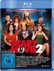 Scary Movie 2