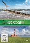 Die Nordsee