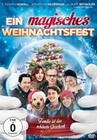 Ein magisches Weihnachtsfest