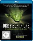 Der Fisch in uns - Die Entwicklungsgeschichte...