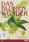 Das Blumenwunder