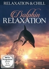 Dolphin Relaxation