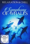 Symphony of Whales