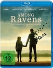 Among Ravens - Jede Familie hat ihre Geheimnisse