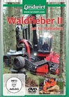 Waldfieber 2 - Zeit fr Waldarbeit