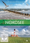 Die Nordsee