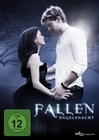 Fallen - Engelsnacht