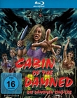 Cabin of the Damned - Die Dmonen sind los