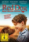 Red Dog - Mein treuer Freund