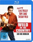 Lied des Rebellen - Wild in the country