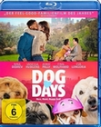 Dog Days - Herz, Hund, Happy End!