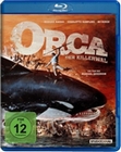 Orca, der Killerwal