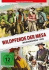 Wildpferde der Mesa