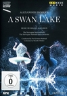 A Swan Lake