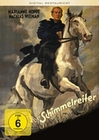 Der Schimmelreiter